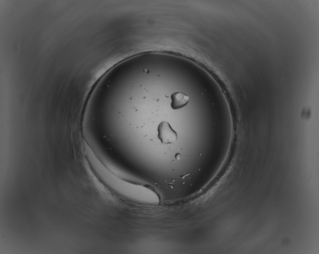 X0000091661521200708231253