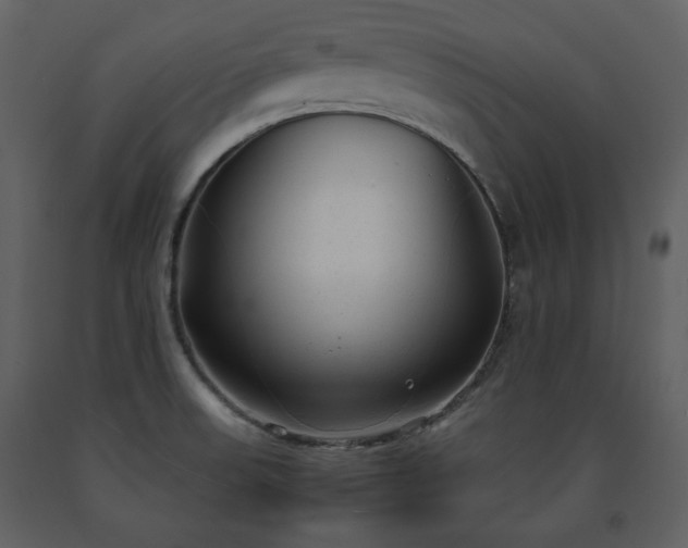 X0000091661523200708231253