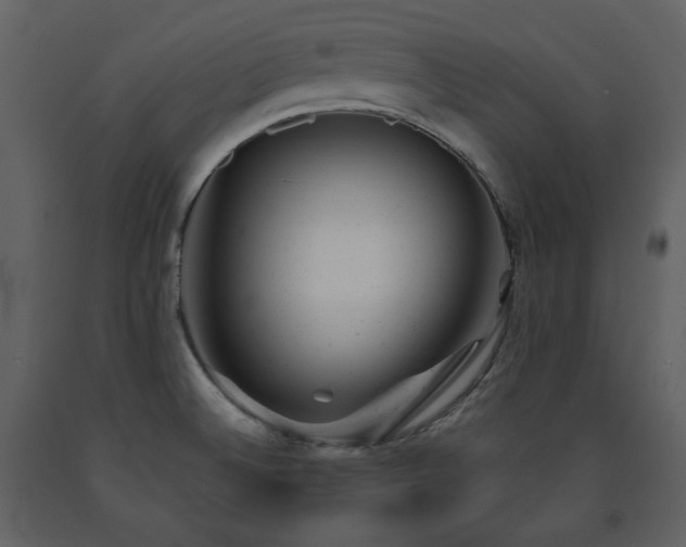X0000091661524200708231253