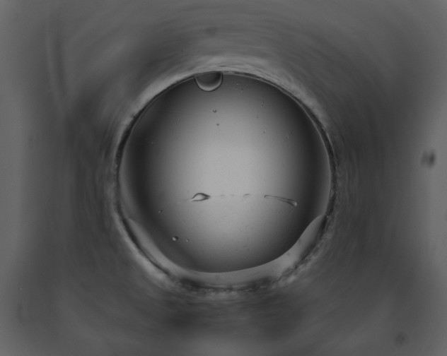 X0000091661525200708231253