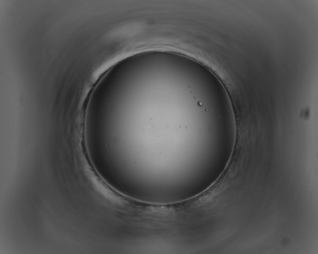 X0000091661526200708231253