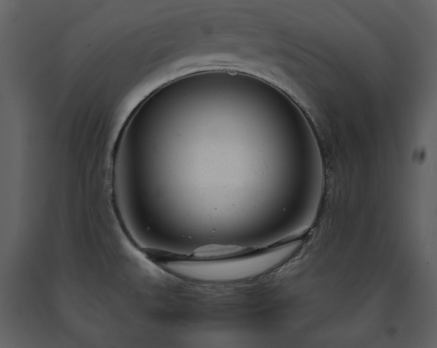 X0000091661527200708231253