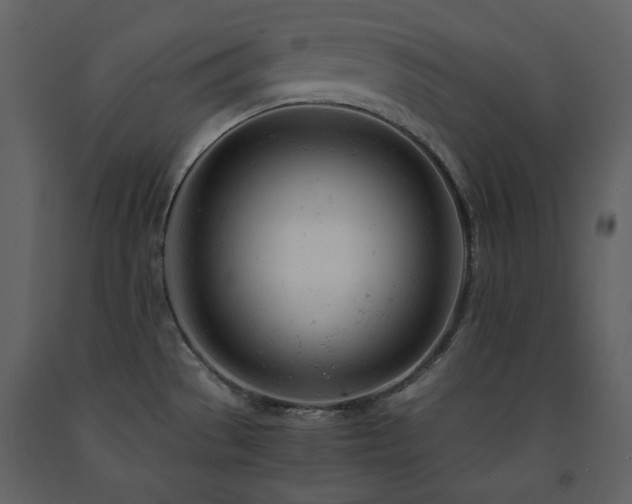 X0000091661529200708231253