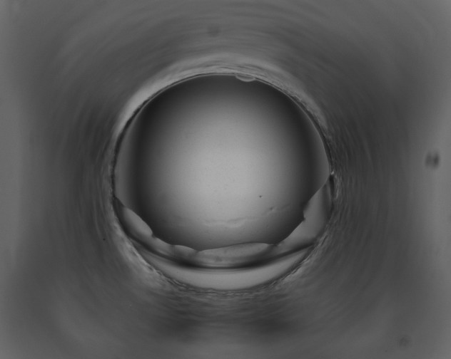 X0000091661530200708231253