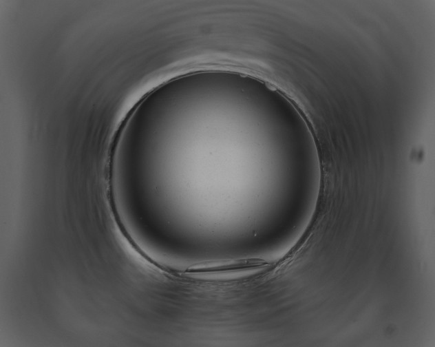 X0000091661531200708231253