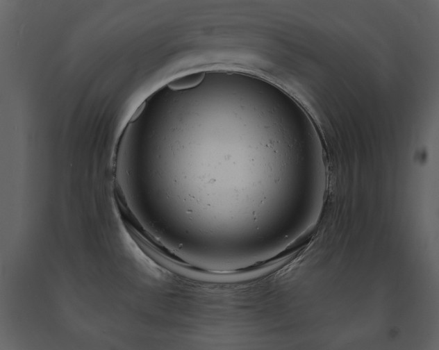 X0000091661532200708231253