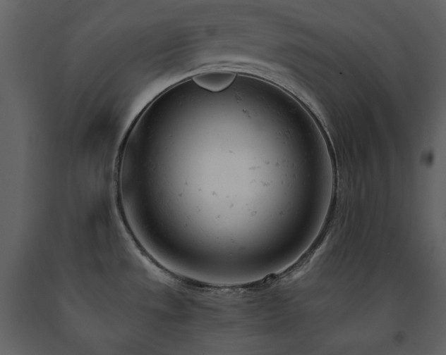 X0000091661533200708231253