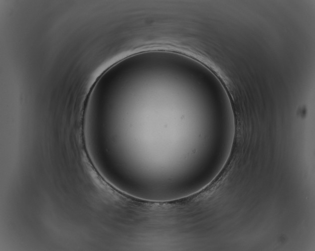 X0000091661534200708231253