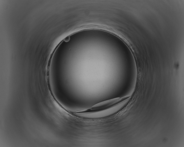 X0000091661535200708231253