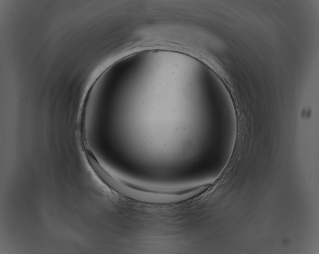X0000091661536200708231253