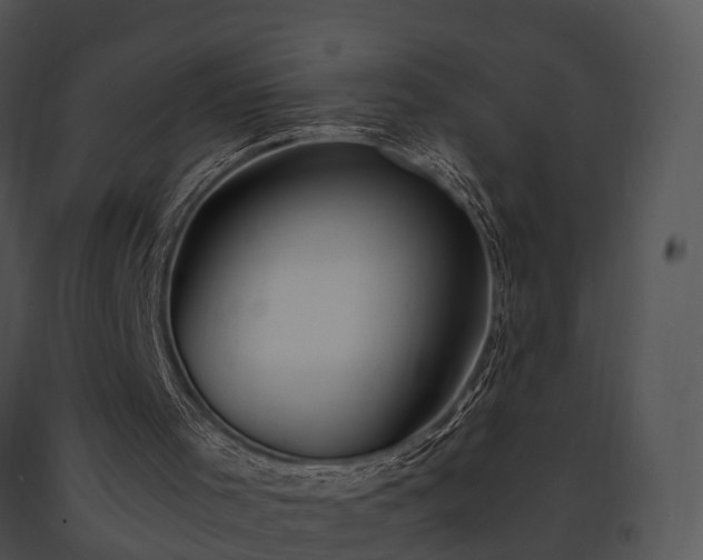 X0000091660001200708301448