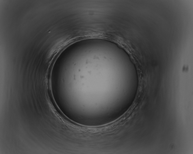 X0000091660002200708301448