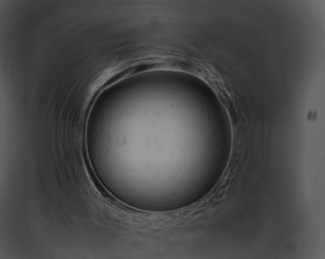 X0000091660003200708301448