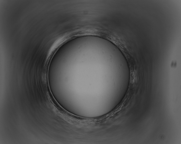 X0000091660004200708301448