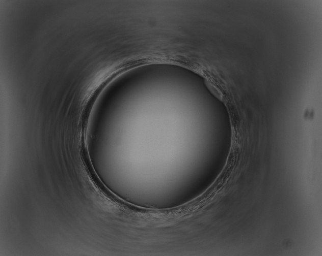 X0000091660005200708301448