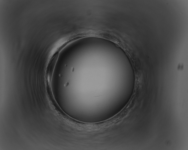 X0000091660006200708301448