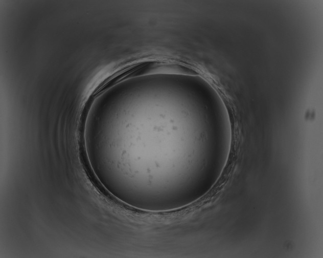 X0000091660007200708301448