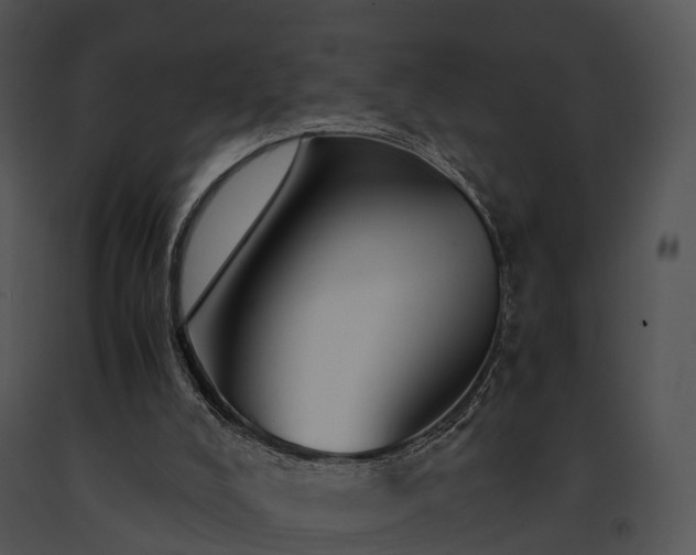 X0000091660008200708301448