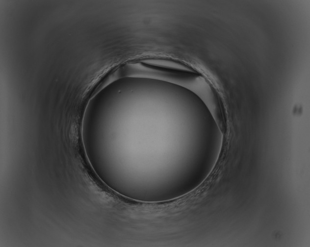 X0000091660009200708301448