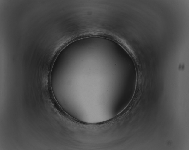 X0000091660010200708301448