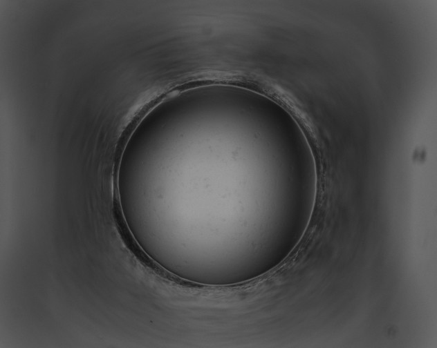 X0000091660011200708301448