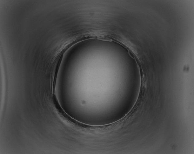 X0000091660013200708301448