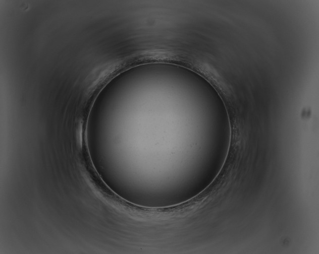 X0000091660014200708301448