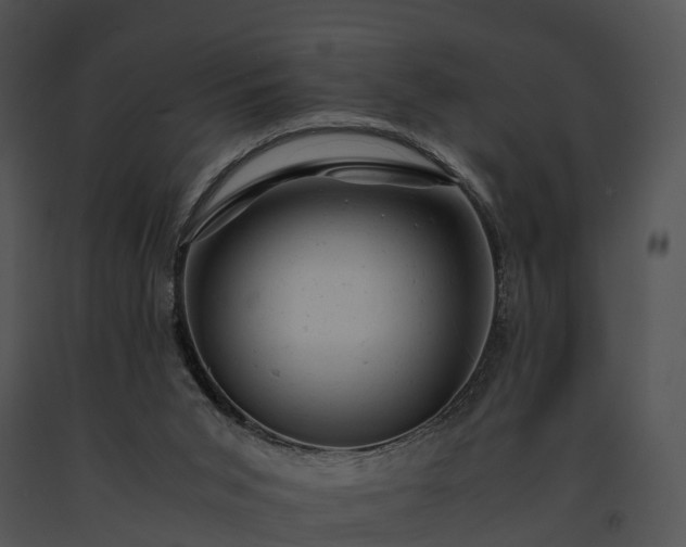 X0000091660015200708301448