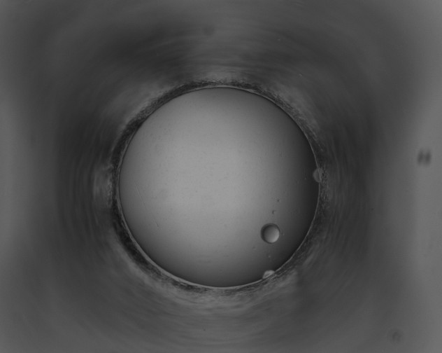 X0000091660016200708301448