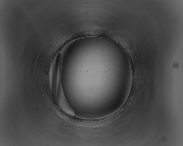 X0000091660017200708301448