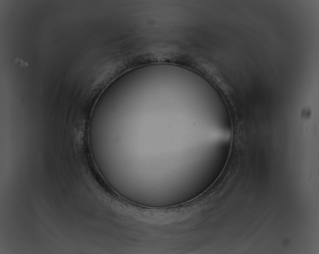 X0000091660018200708301448