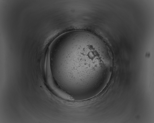 X0000091660019200708301448