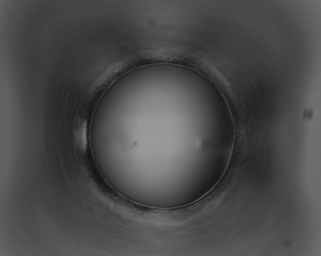 X0000091660020200708301448