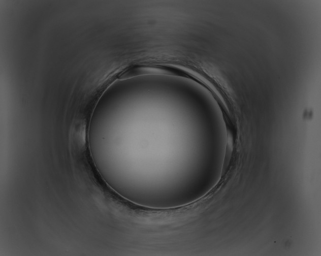 X0000091660021200708301448