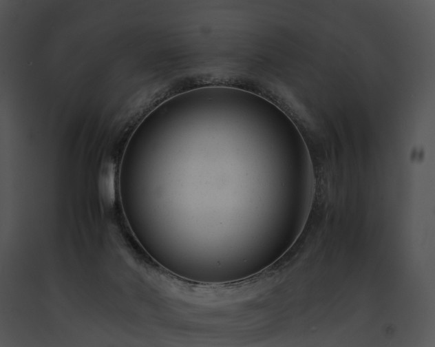 X0000091660022200708301448