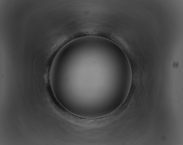 X0000091660023200708301448