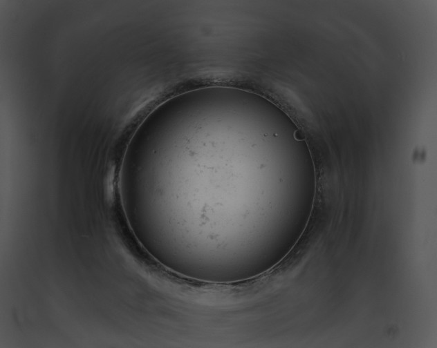 X0000091660024200708301448