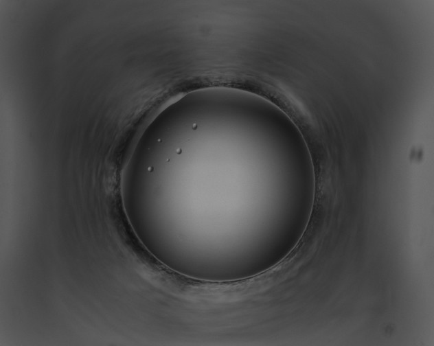 X0000091660025200708301448