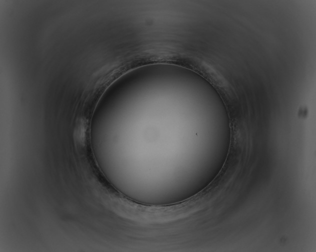 X0000091660026200708301448