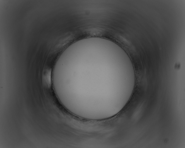 X0000091660028200708301448