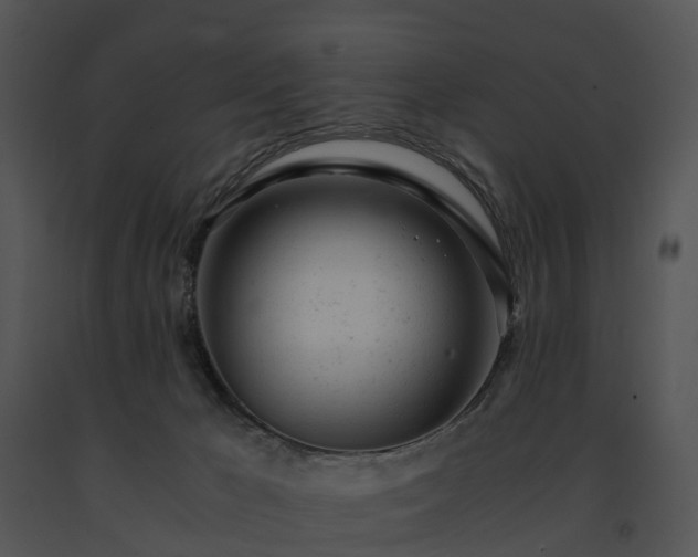 X0000091660029200708301448