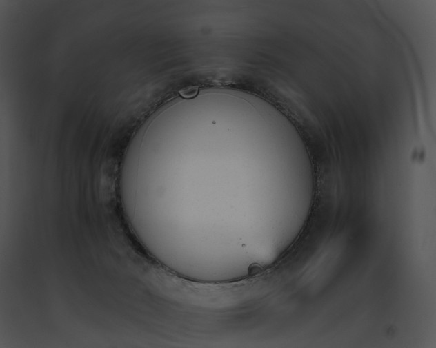 X0000091660030200708301448