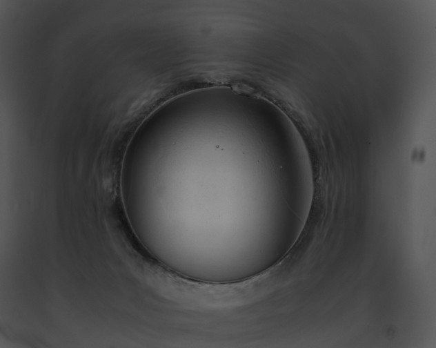 X0000091660031200708301448