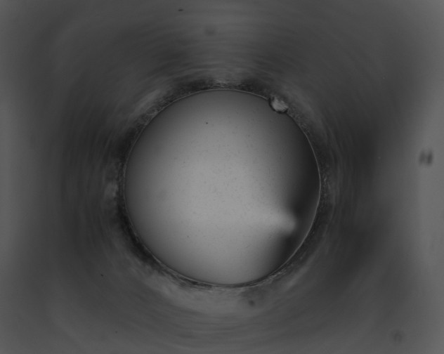 X0000091660032200708301448