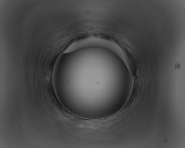 X0000091660033200708301448