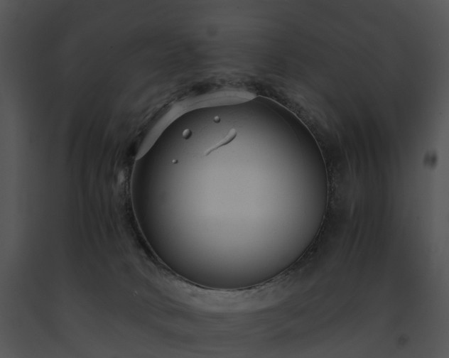 X0000091660034200708301448