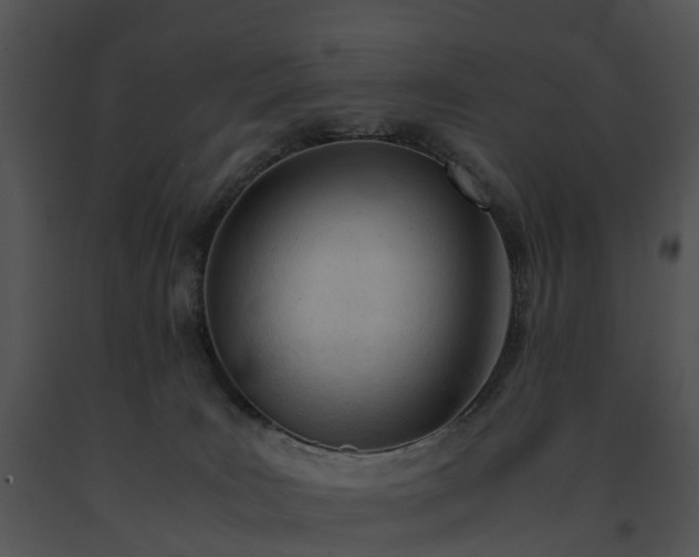 X0000091660035200708301448