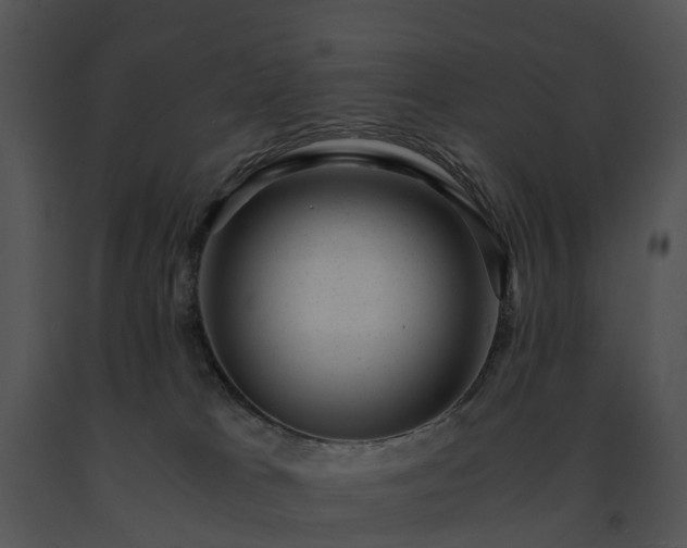 X0000091660037200708301448