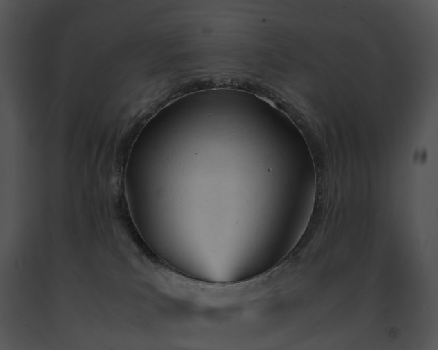 X0000091660039200708301448