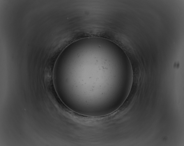 X0000091660040200708301448